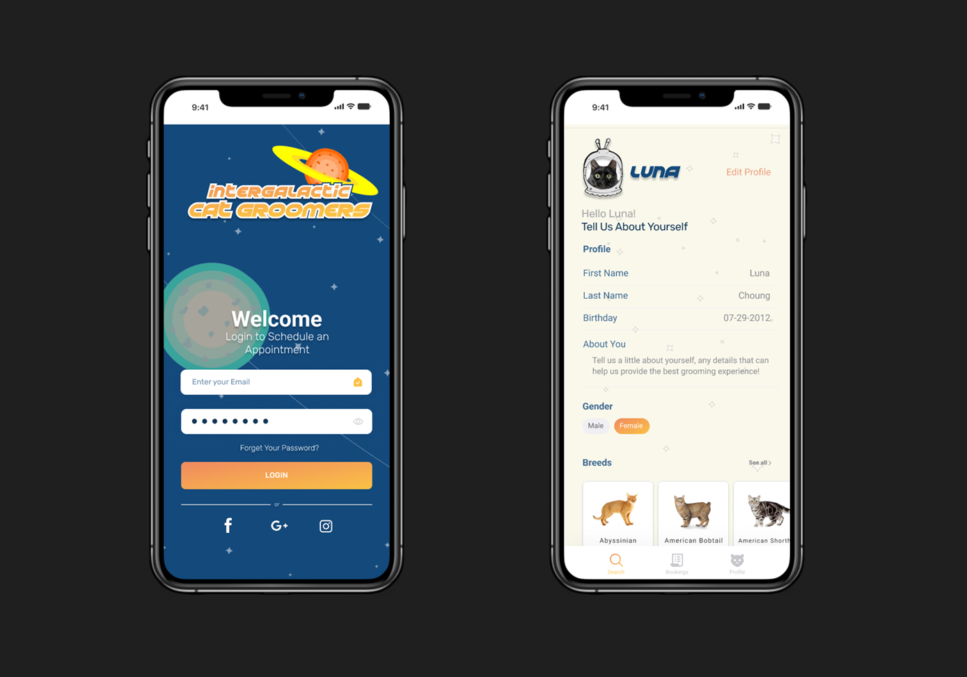 Interstellar Cat Groomers Login and Landing Screens